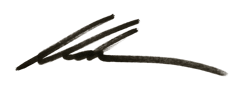 Alden Mills - signature - transparent