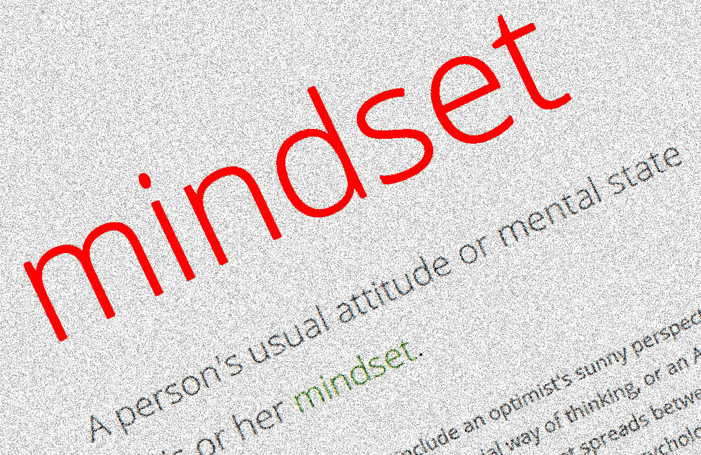 One Size Mindset Does Not Fit All